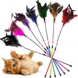 plumas gato